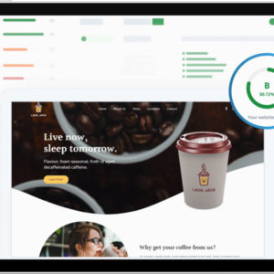 Pittman Unlimited Website Audit Report screen